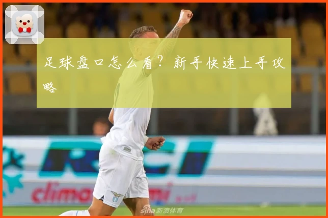 足球盘口怎么看？新手快速上手攻略