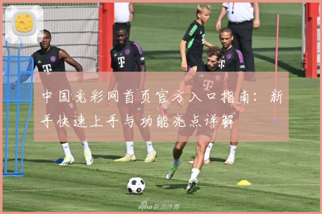 中国竞彩网首页官方入口指南：新手快速上手与功能亮点详解