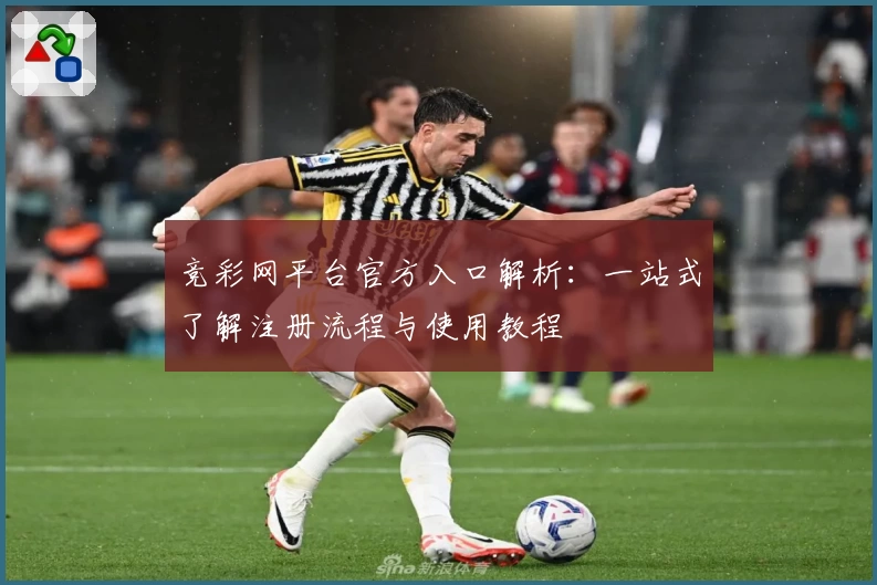 竞彩网平台官方入口解析：一站式了解注册流程与使用教程